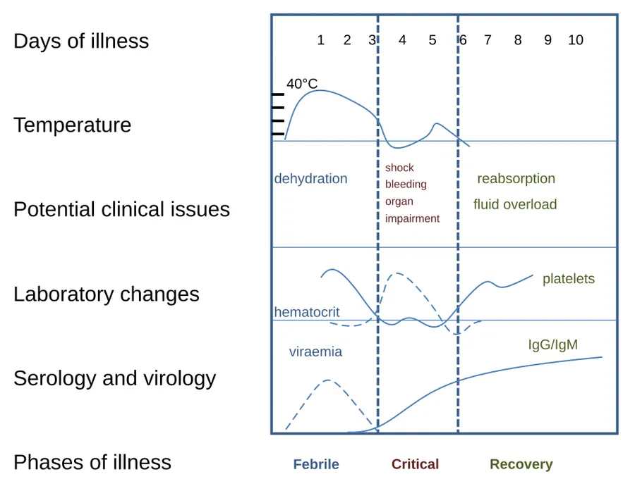 The course of Dengue illness. Based on WHO Guidelines, 2009, p. 25