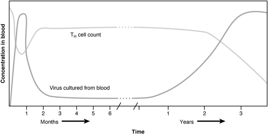 Illustration from Anatomy & Physiology, Connexions Web site. https://cnx.org/content/col11496/1.6/, Jun 19, 2013.