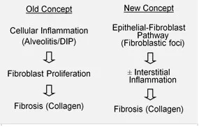 Etiology and pathobiology of Idiopathic Pulmonary Fibrosis (IPF)
